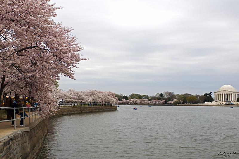 20080403_114809 D300 P.jpg - Tidal Basin and Jefferson Memorial